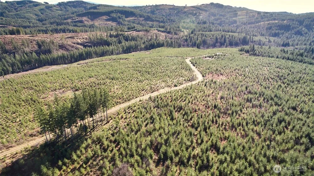 4 NE Jones Creek Road Camas, WA 98607