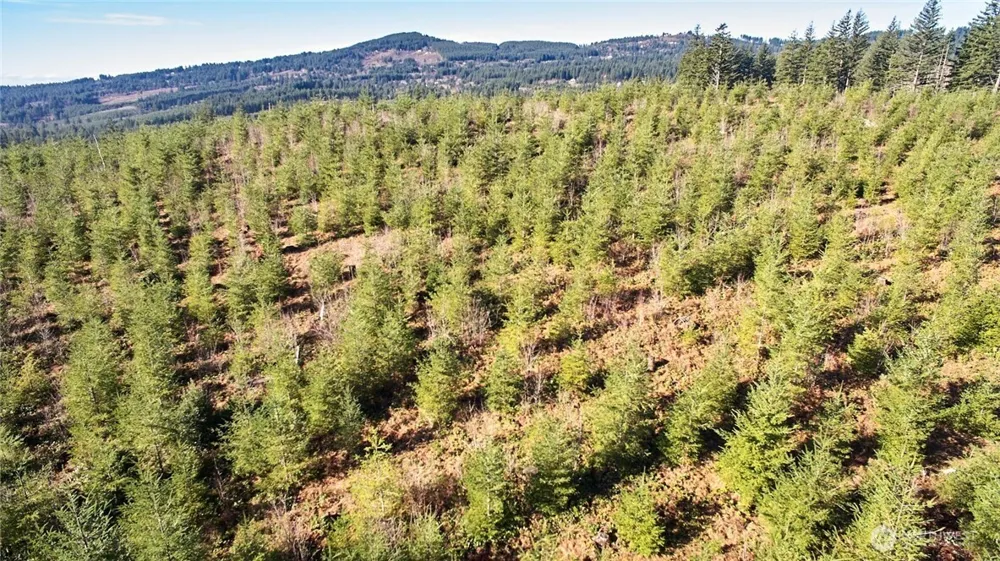 4 NE Jones Creek Road Camas, WA 98607