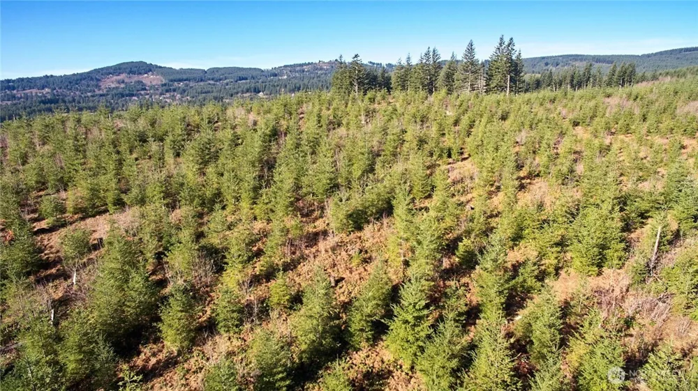 4 NE Jones Creek Road Camas, WA 98607