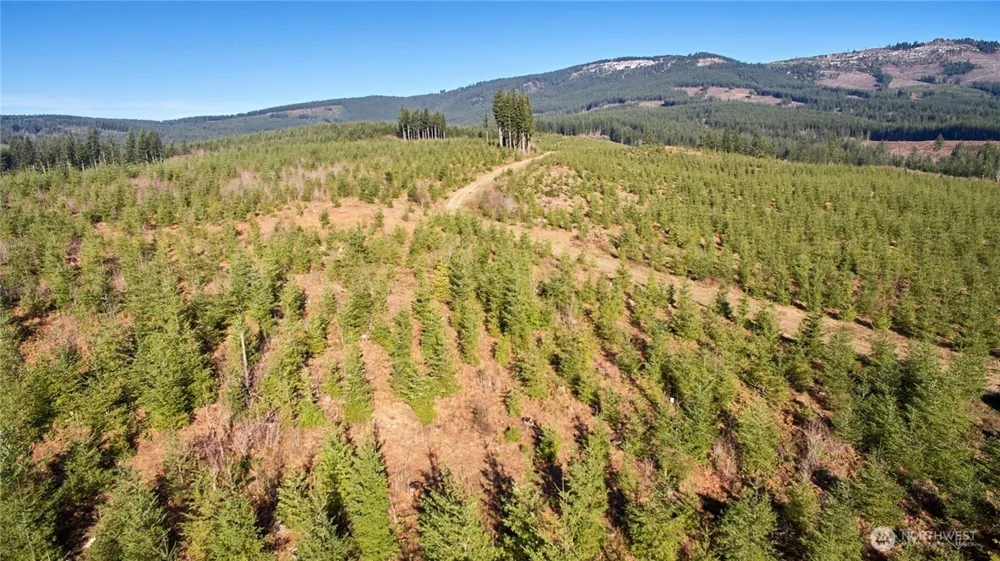 4 NE Jones Creek Road Camas, WA 98607