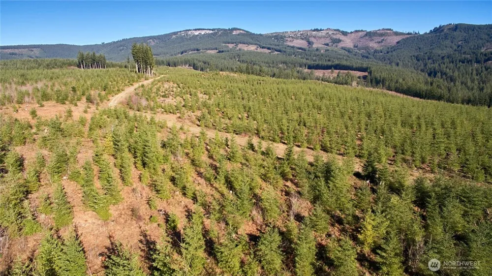 4 NE Jones Creek Road Camas, WA 98607