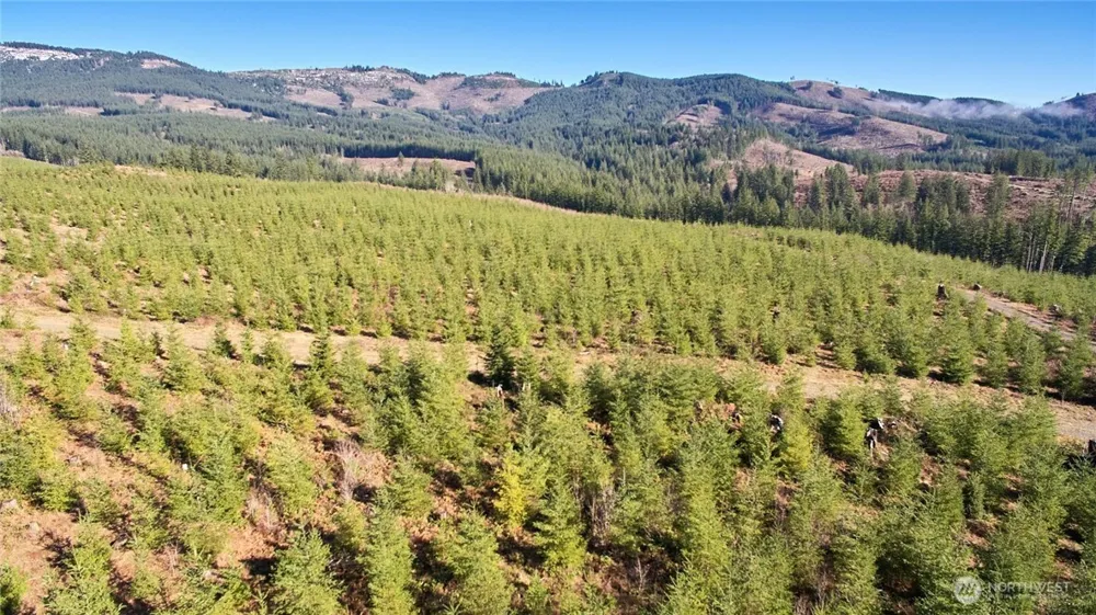 4 NE Jones Creek Road Camas, WA 98607