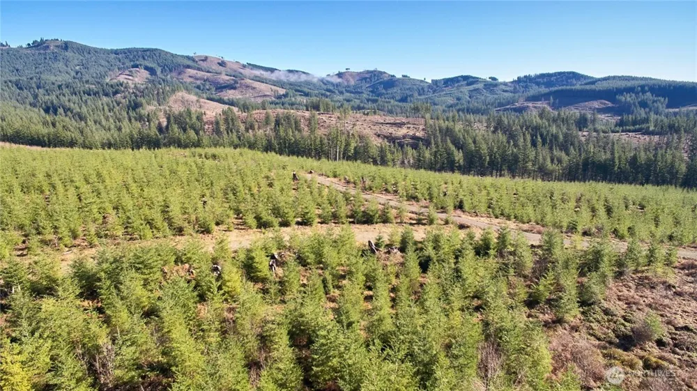 4 NE Jones Creek Road Camas, WA 98607
