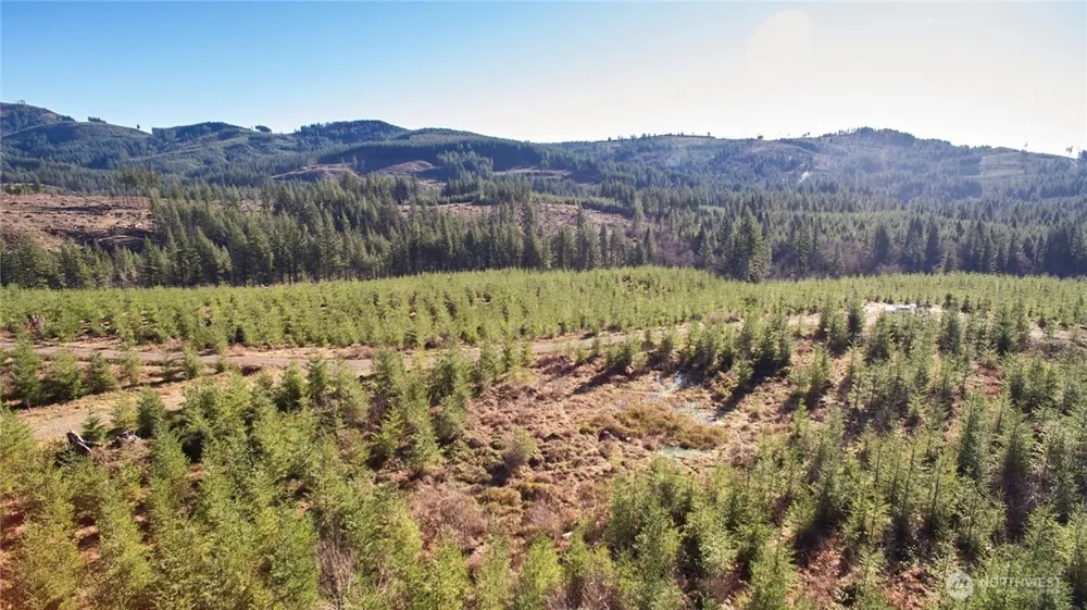 4 NE Jones Creek Road Camas, WA 98607