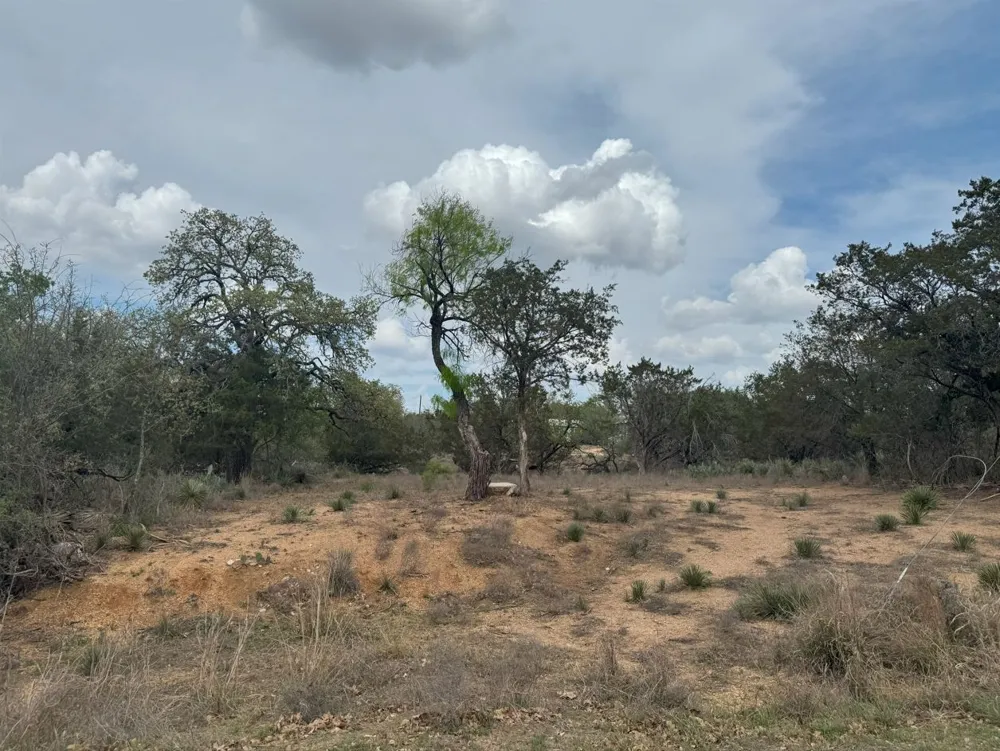 260 W Briarway Drive Granite Shoals, TX 78654