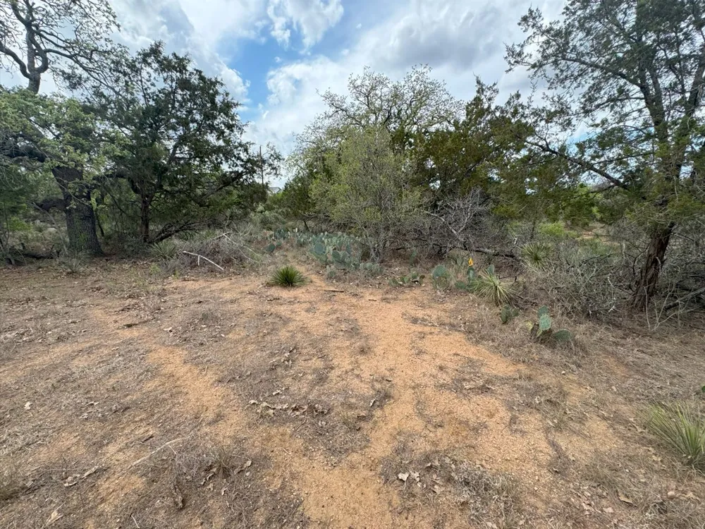260 W Briarway Drive Granite Shoals, TX 78654