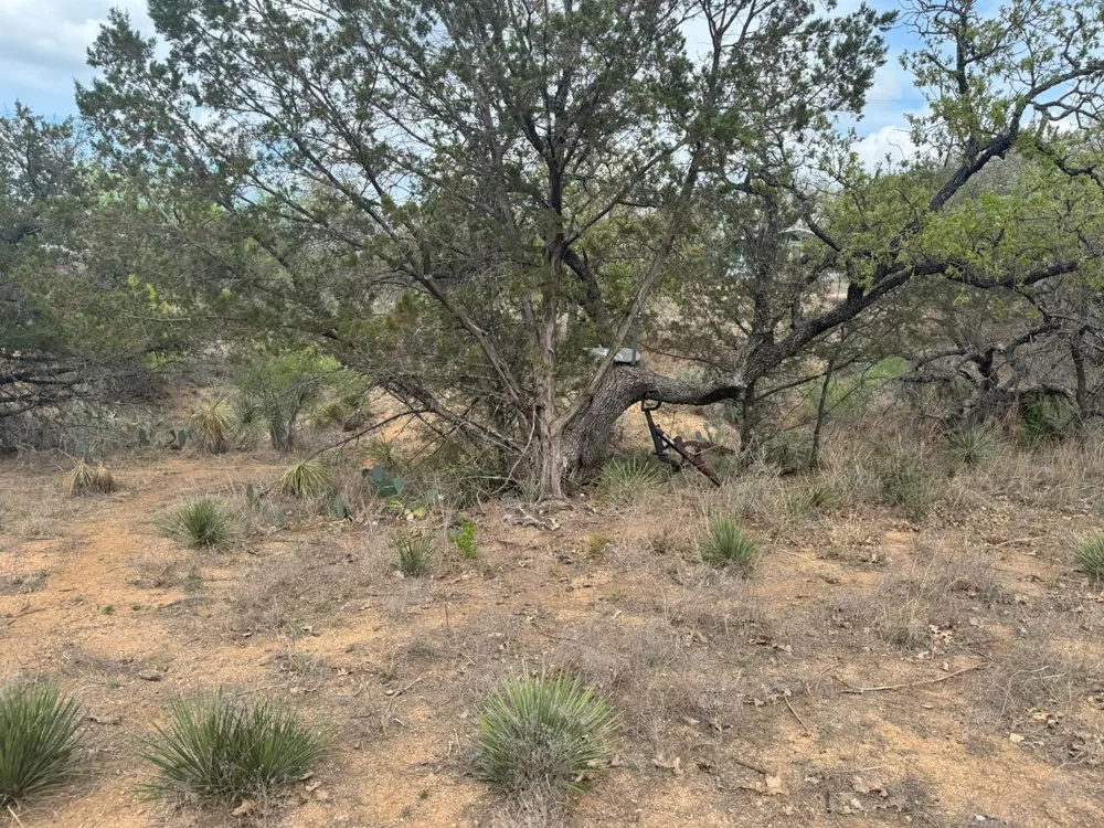 260 W Briarway Drive Granite Shoals, TX 78654