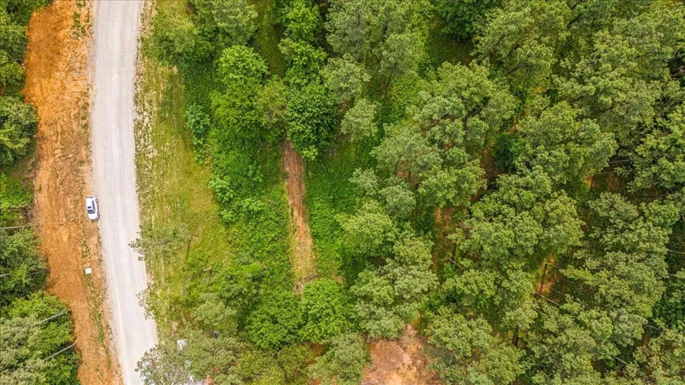 3715 Split Rail Way Guild, TN 37340
