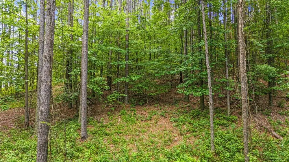 3715 Split Rail Way Guild, TN 37340