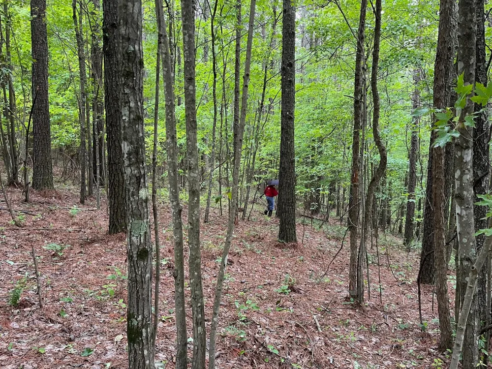 3715 Split Rail Way Guild, TN 37340