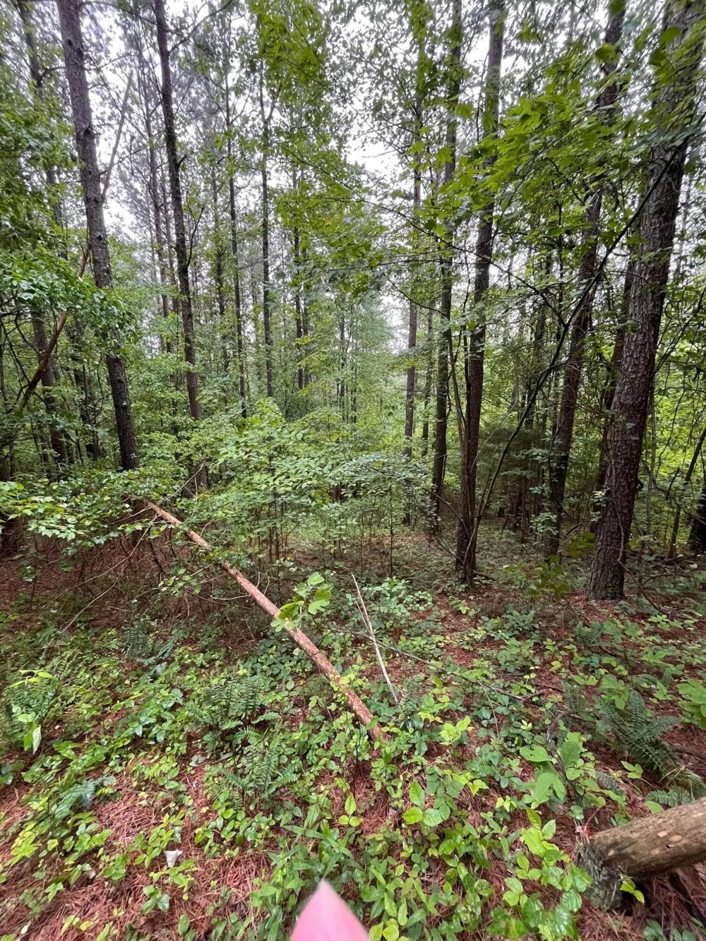 3715 Split Rail Way Guild, TN 37340