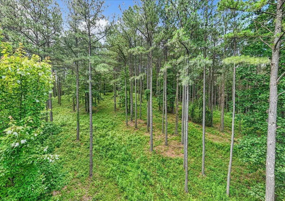 3715 Split Rail Way Guild, TN 37340