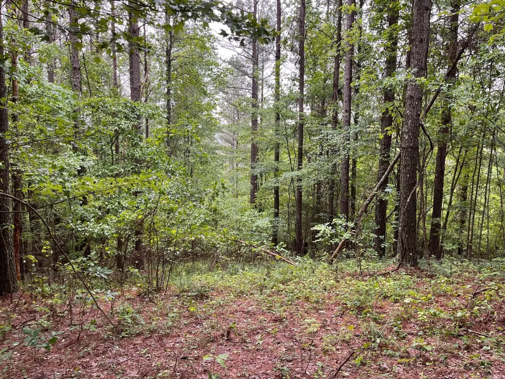 3715 Split Rail Way Guild, TN 37340