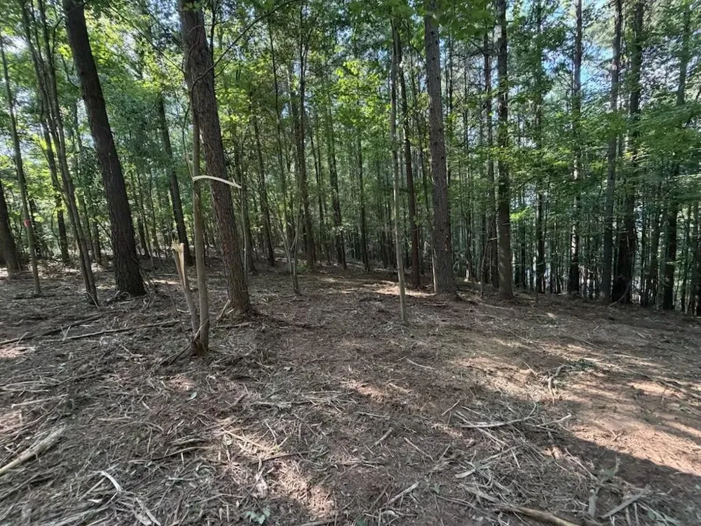 3715 Split Rail Way Guild, TN 37340