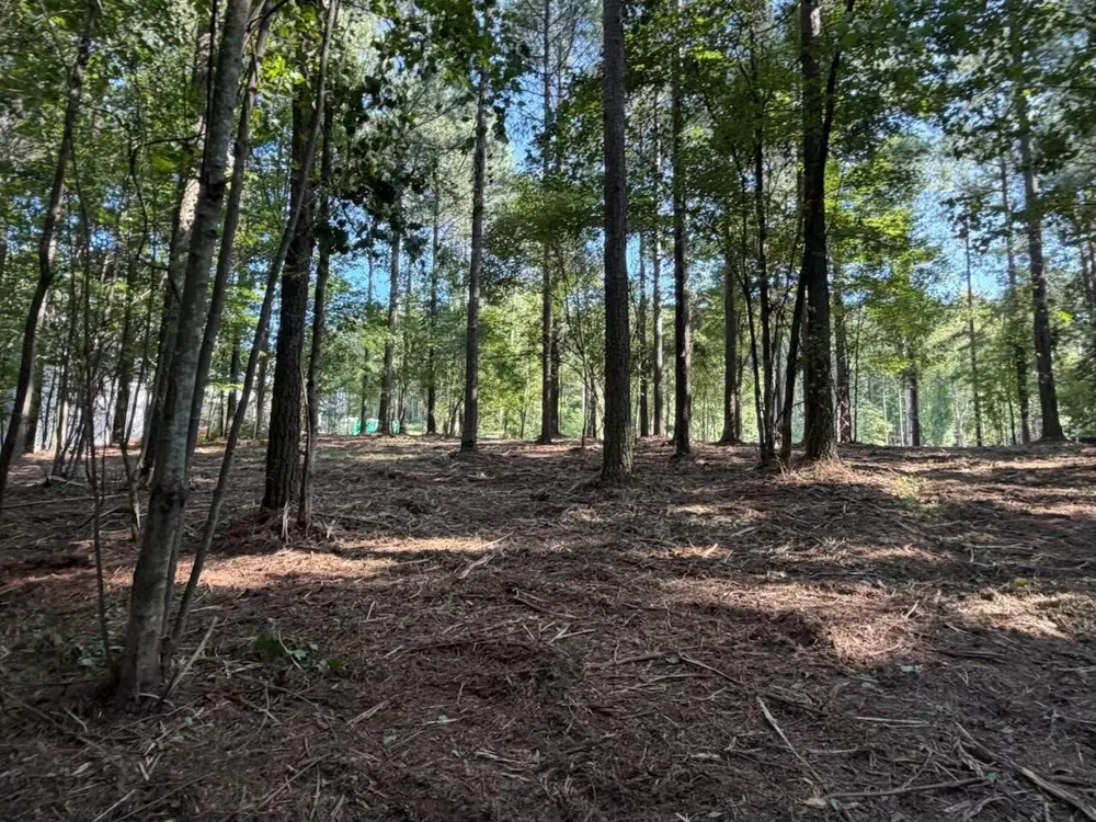 3715 Split Rail Way Guild, TN 37340