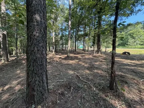 3715 Split Rail Way