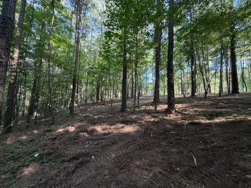 3715 Split Rail Way Guild, TN 37340