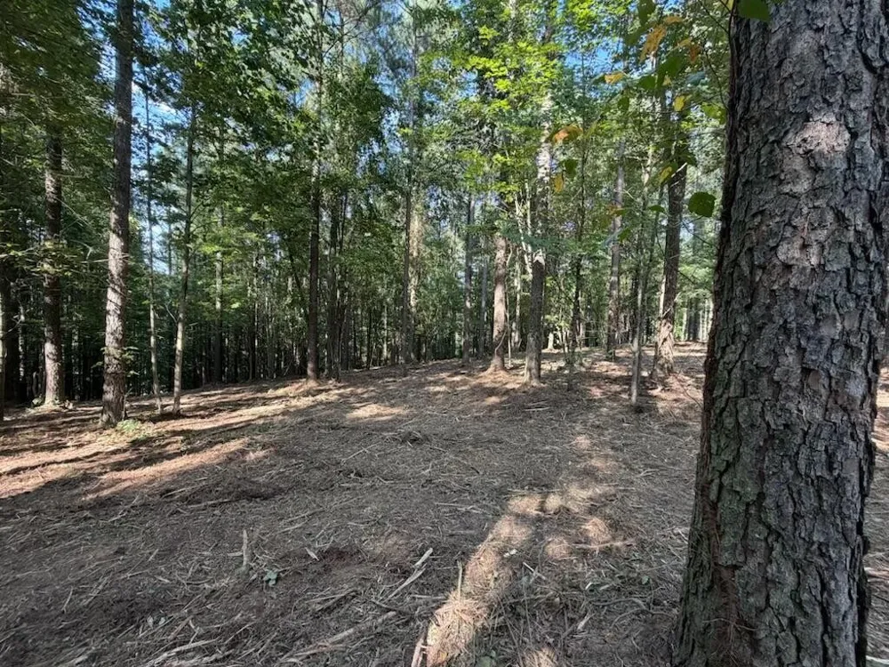 3715 Split Rail Way Guild, TN 37340
