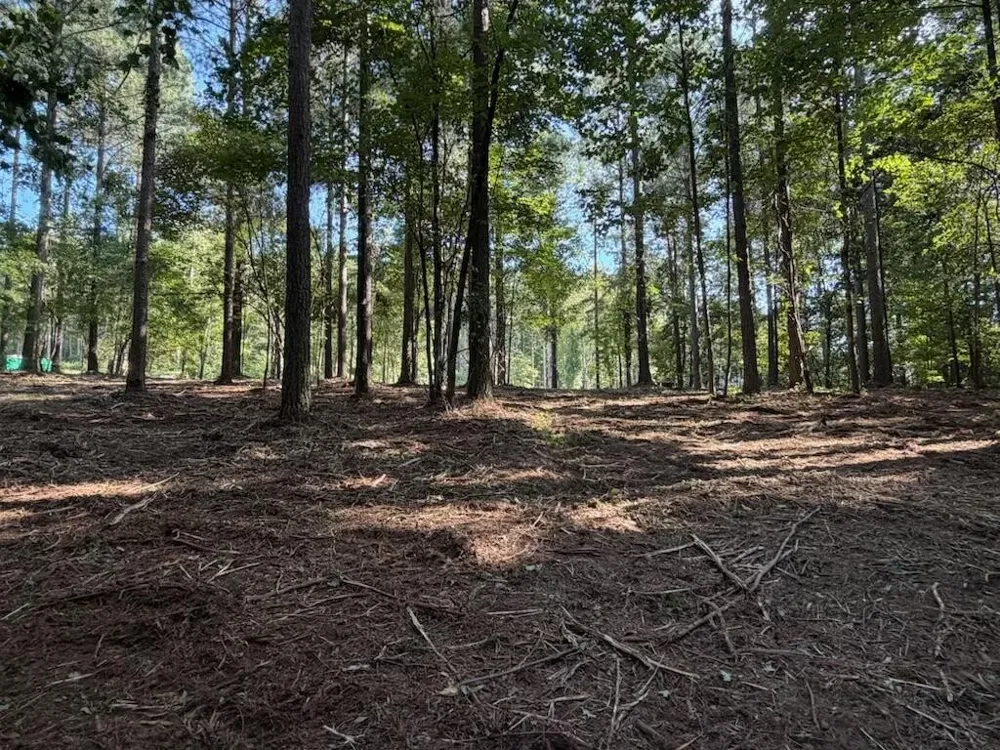 3715 Split Rail Way Guild, TN 37340