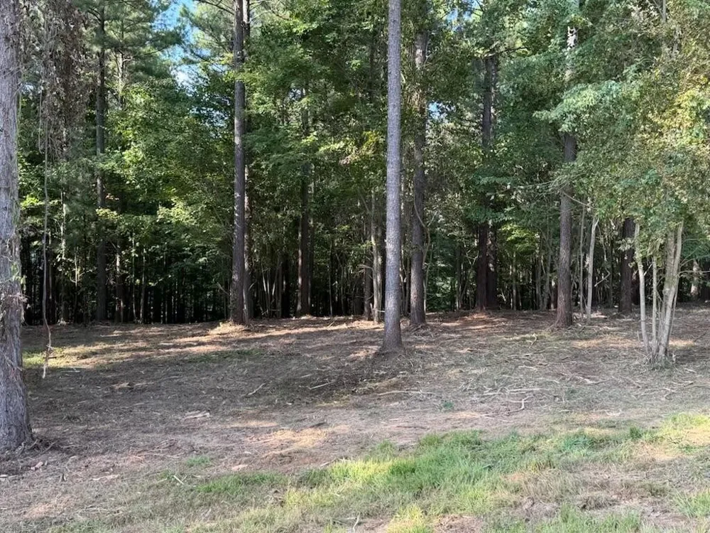 3715 Split Rail Way Guild, TN 37340