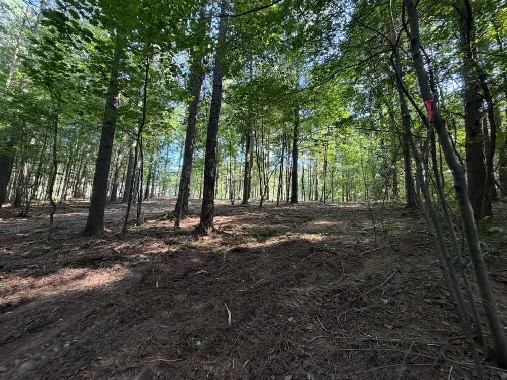 3715 Split Rail Way Guild, TN 37340