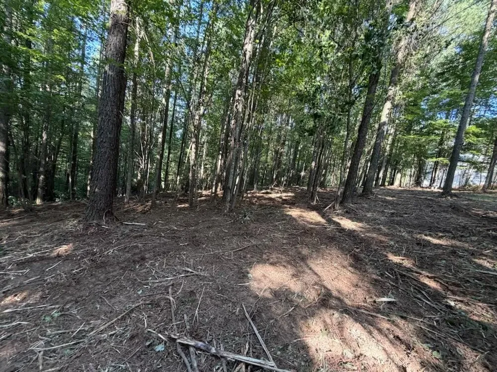 3715 Split Rail Way Guild, TN 37340