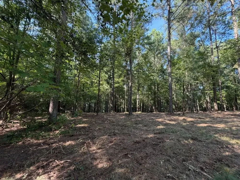 3715 Split Rail Way Guild, TN 37340