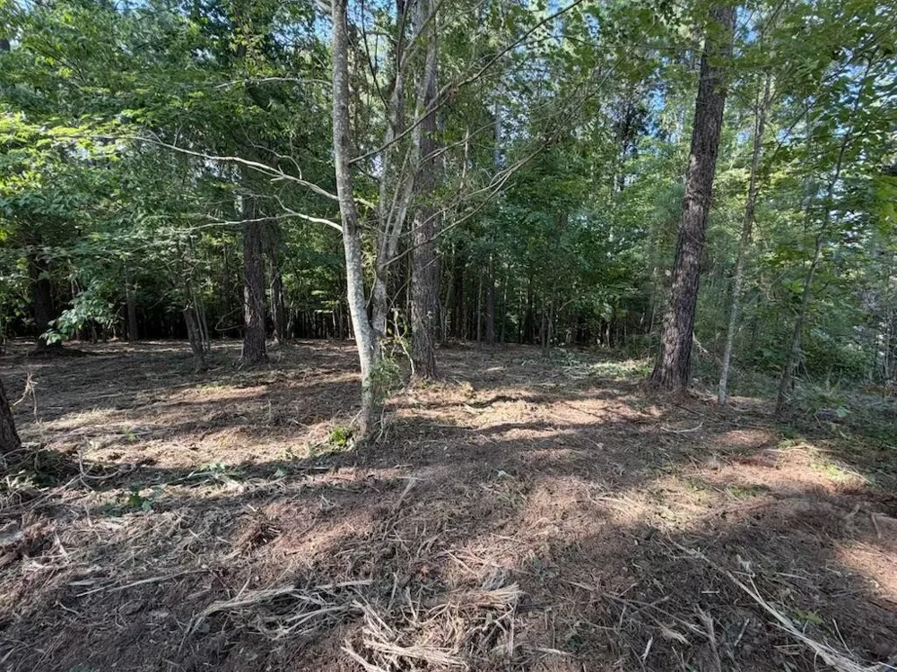 3715 Split Rail Way Guild, TN 37340