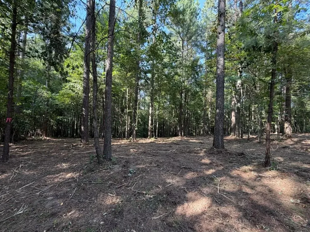 3715 Split Rail Way Guild, TN 37340