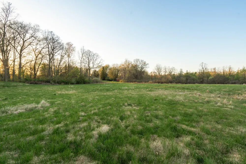 Moeckel Road Grass Lake, MI 49240