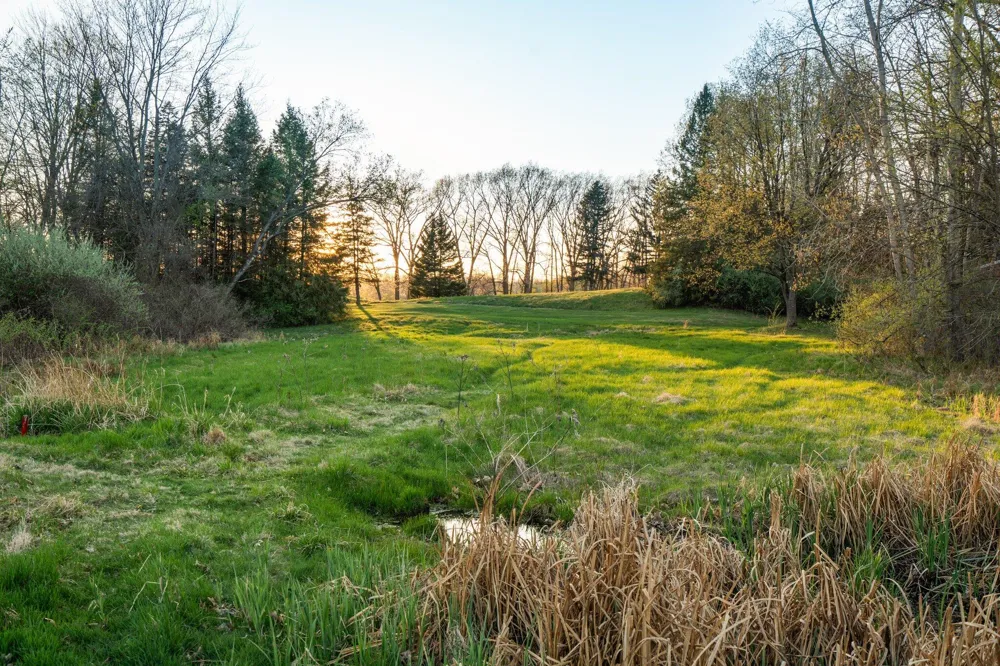 Moeckel Road Grass Lake, MI 49240