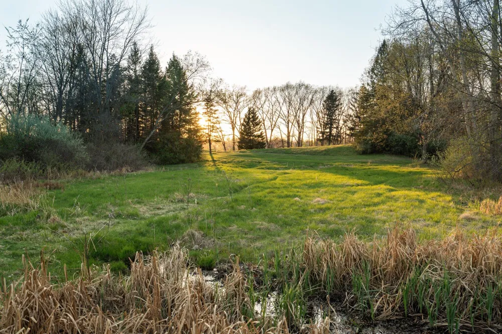 Moeckel Road Grass Lake, MI 49240