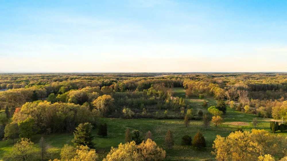 Moeckel Road Grass Lake, MI 49240