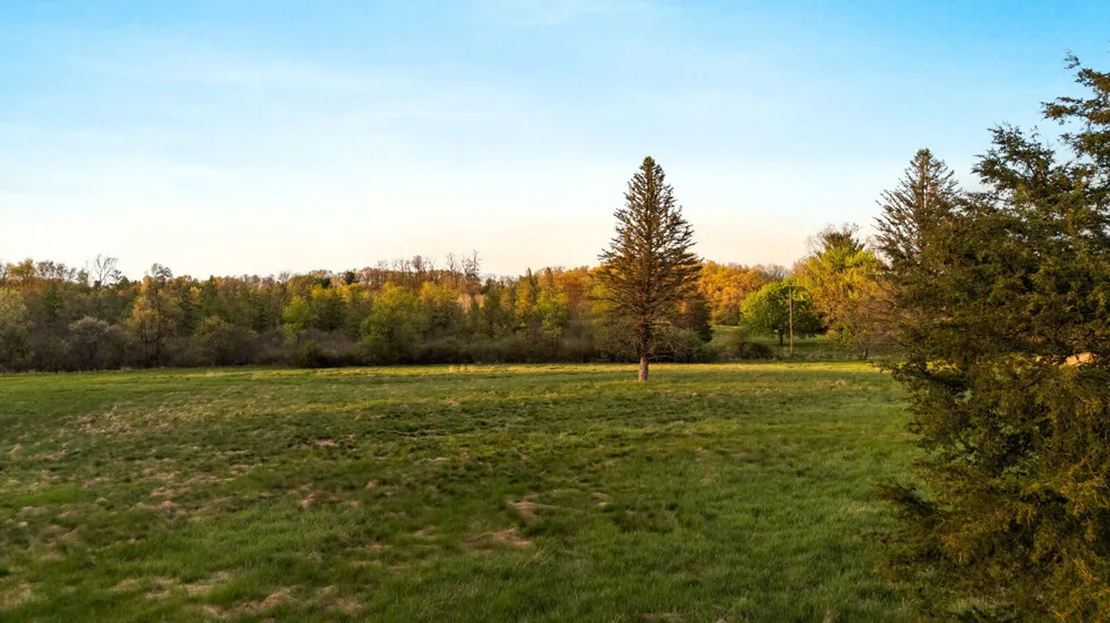 Moeckel Road Grass Lake, MI 49240