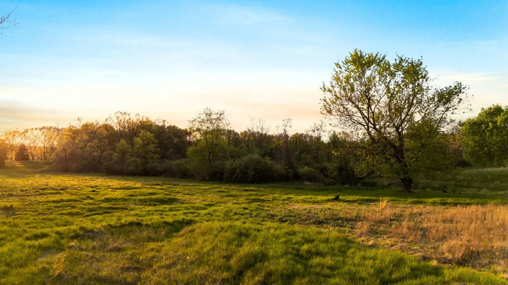 Moeckel Road Grass Lake, MI 49240