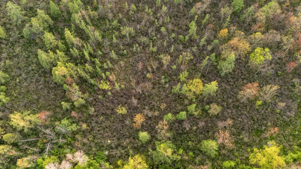 Moeckel Road Grass Lake, MI 49240