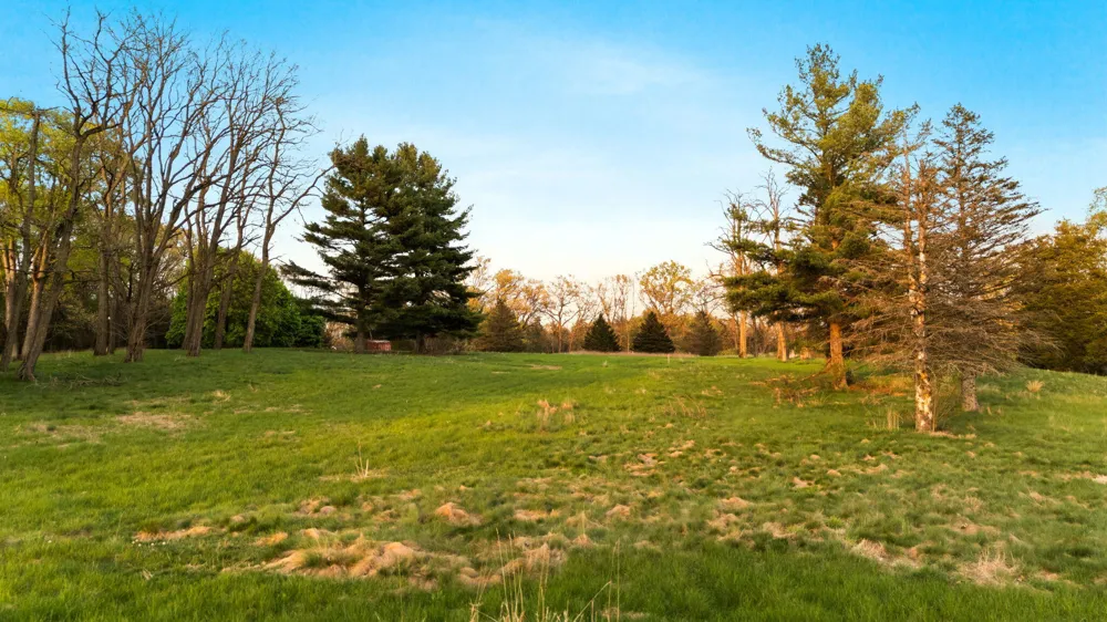 Moeckel Road Grass Lake, MI 49240