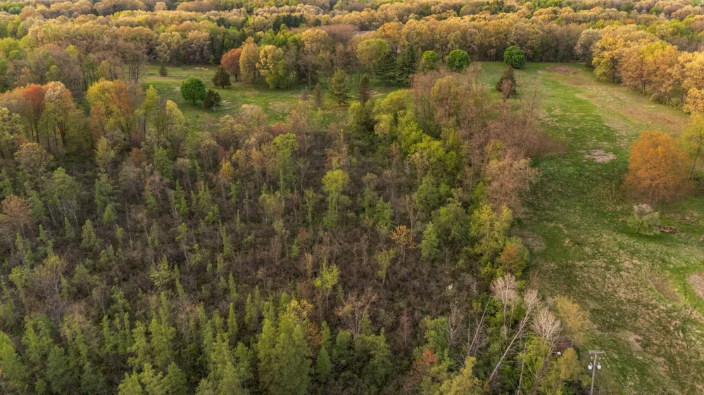 Moeckel Road Grass Lake, MI 49240
