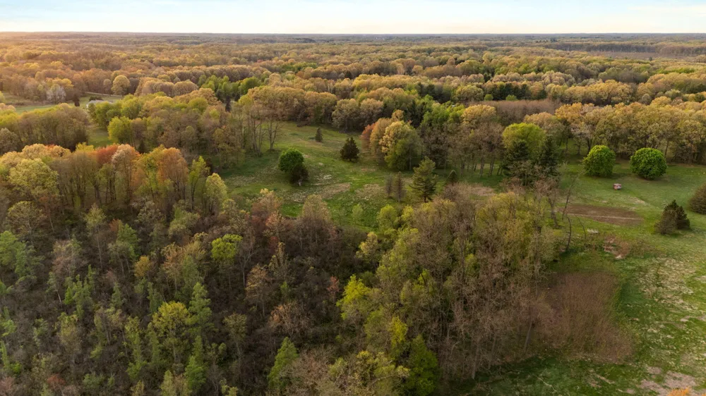 Moeckel Road Grass Lake, MI 49240