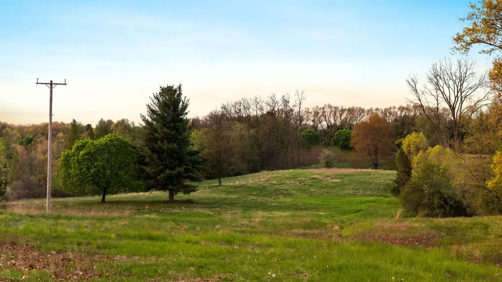 Moeckel Road Grass Lake, MI 49240