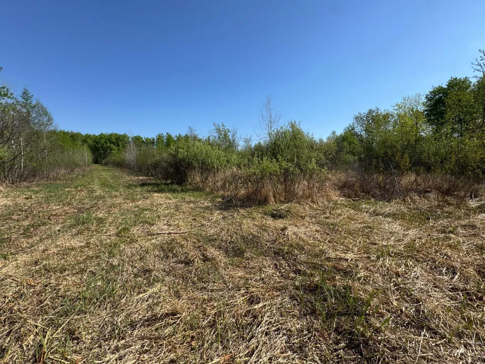 TBD Skog Road Kettle River, MN 55757