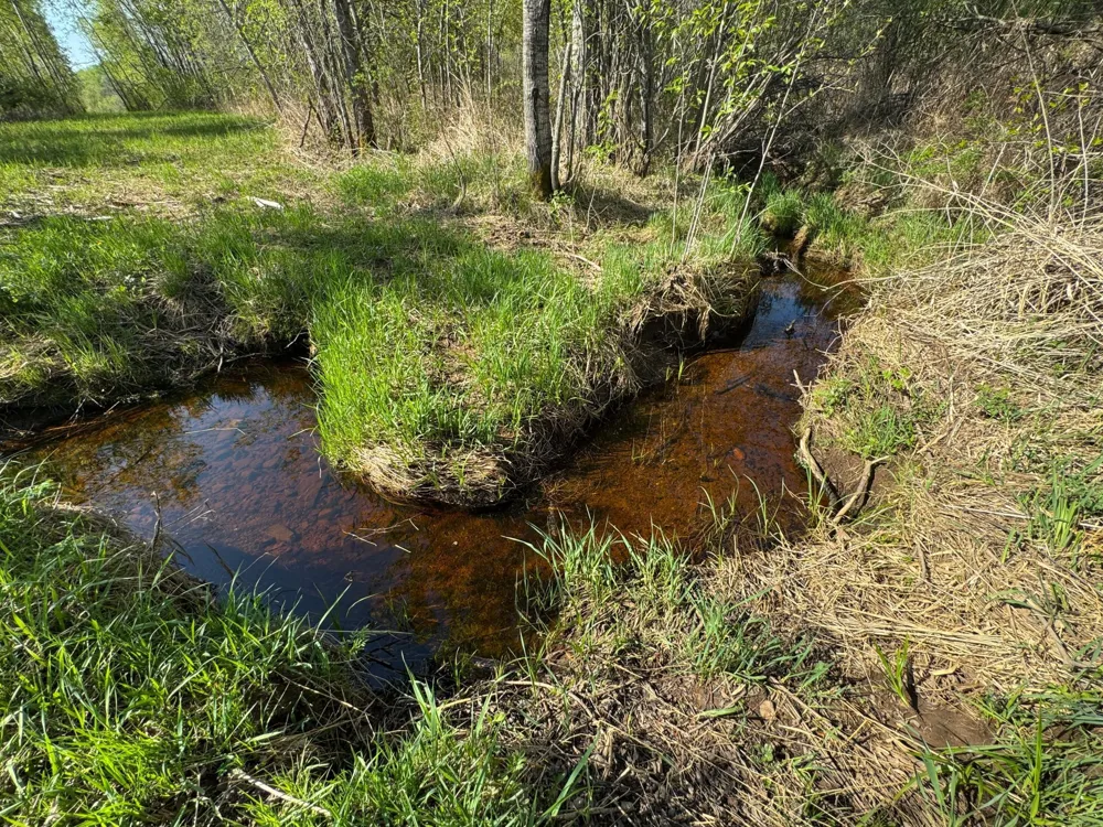 TBD Skog Road Kettle River, MN 55757