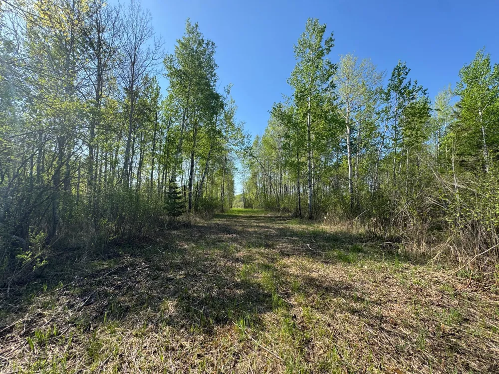 TBD Skog Road Kettle River, MN 55757