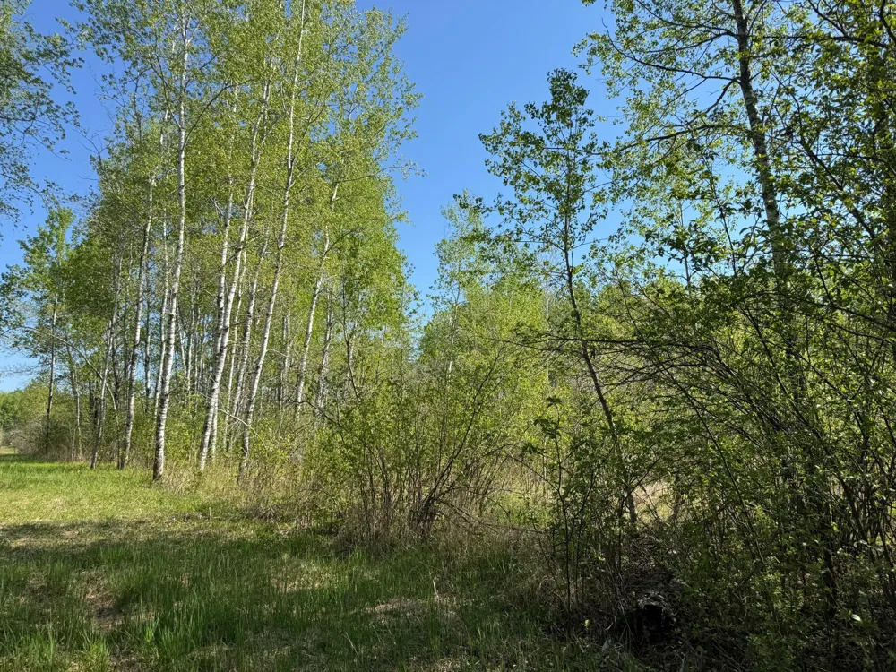 TBD Skog Road Kettle River, MN 55757