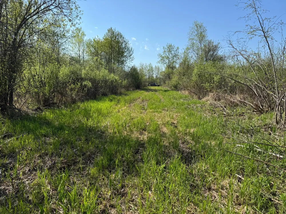 TBD Skog Road Kettle River, MN 55757