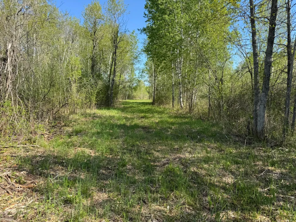 TBD Skog Road Kettle River, MN 55757