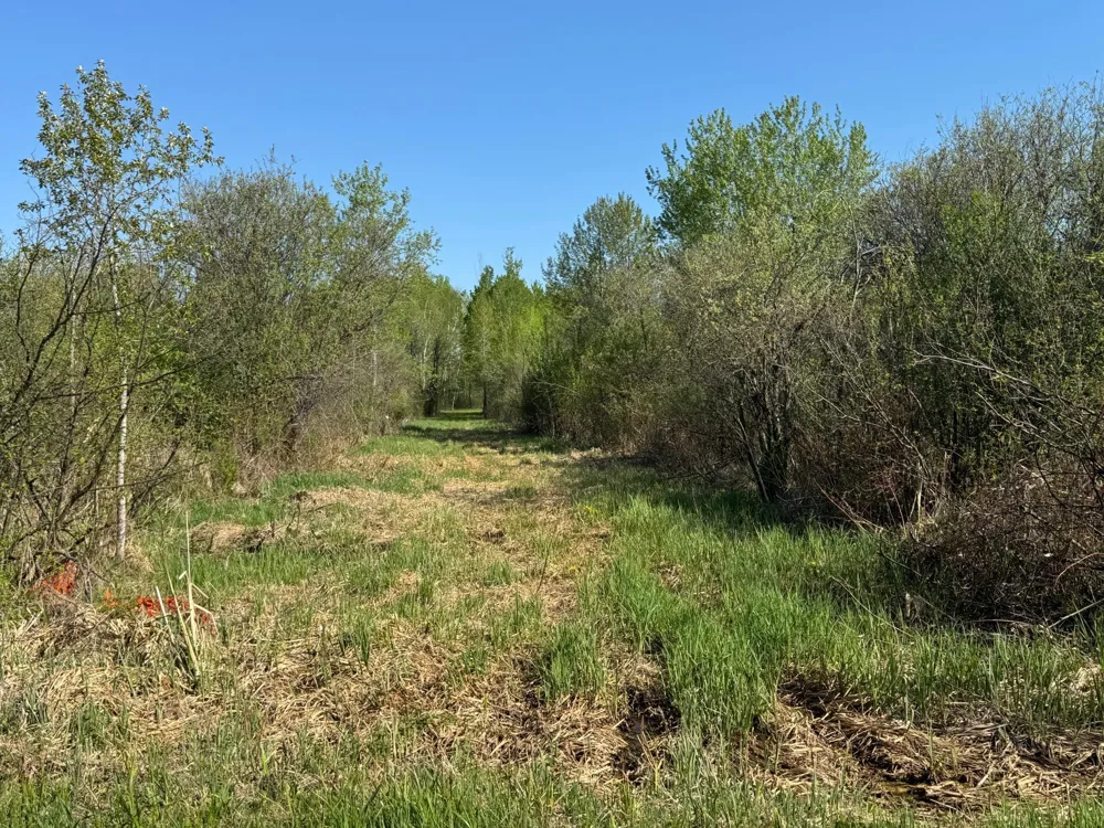 TBD Skog Road Kettle River, MN 55757