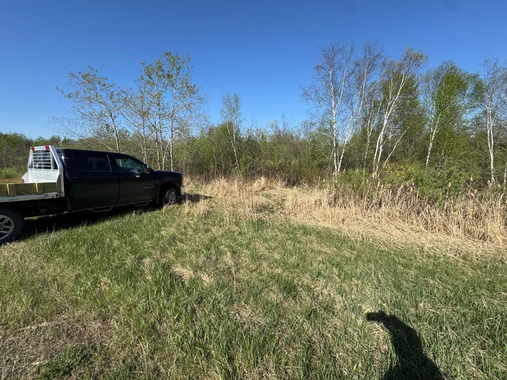 TBD Skog Road Kettle River, MN 55757