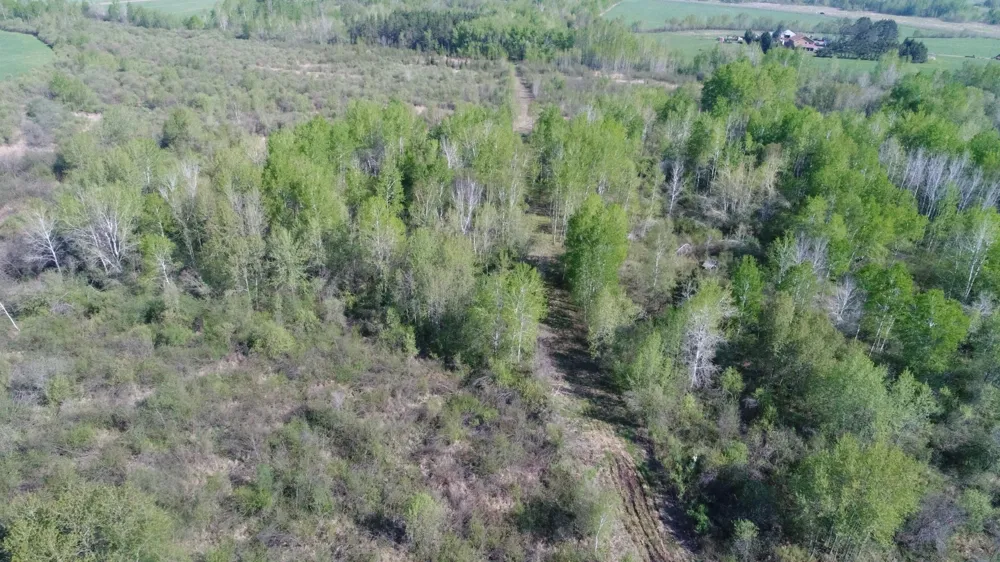 TBD Skog Road Kettle River, MN 55757