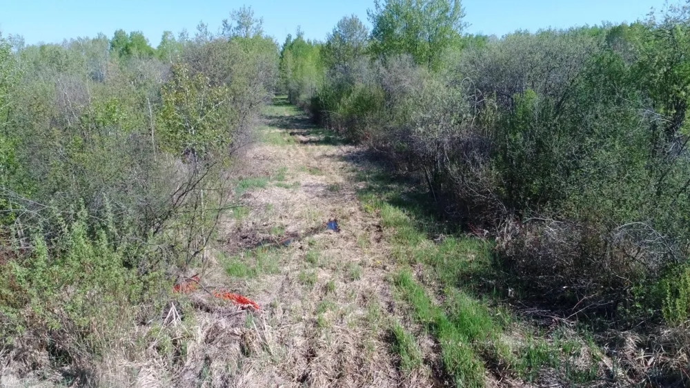 TBD Skog Road Kettle River, MN 55757